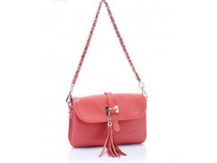 妮艾佳人夏季链条小包 真皮女包单肩斜挎包 韩版流苏包8003