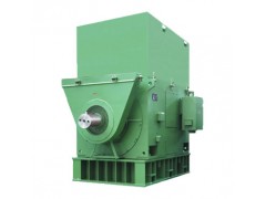 高压电机 高压电机