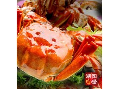 前世今生细说 阳澄湖大闸蟹 前世今生细说 阳澄湖大闸蟹