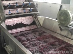 蓝莓汁草莓酱黑莓汁黑莓酱草莓汁草莓酱加工生产线 蓝莓汁草莓酱黑莓汁黑莓酱草莓汁草莓酱加工生产线