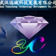 湖北远成药业有限公司贸易部