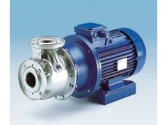 意大利LOWARA水泵