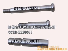 供应不锈钢隐蔽螺栓式沉降观测标志 供应不锈钢隐蔽螺栓式沉降观测标志