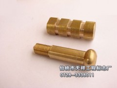 供应铜质隐蔽螺栓式沉降观测标志 供应铜质隐蔽螺栓式沉降观测标志