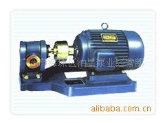 广州泊星供应2cy系列齿轮泵 广州泊星供应2cy系列齿轮泵