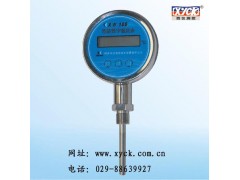 XW-100智能数字温度表|数字压力表