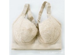 厂家批发供应高档蚕丝蛋白五扣调整型文胸塑身内衣 厂家批发供应高档蚕丝蛋白五扣调整型文胸塑身内衣