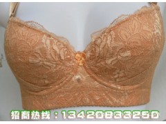 大量现货批发金五扣五排扣文胸调整型塑身内衣 大量现货批发金五扣五排扣文胸调整型塑身内衣