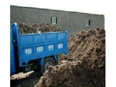 发酵干鸡粪/鸡粪肥