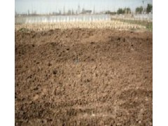 东台干鸡粪/鸡粪肥