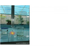 SBS添加剂/辽宁盘锦/SBS优质添加剂/SBS SBS添加剂/辽宁盘锦/SBS优质添加剂/SBS