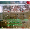 供应鸡鸽兔笼运输笼鹌鹑笼宠物笼狐狸笼食盒饮水器粪板养殖笼具设备