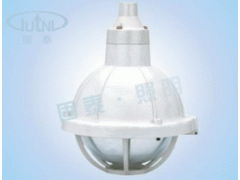 BAD52-e系列  温州 固泰   防腐灯