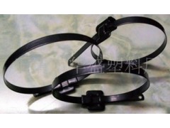 供应不锈钢浸塑扎带