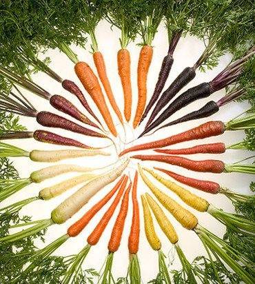 英国超市上架彩虹萝卜让人大开眼界