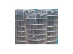 供应圈玉米电焊网 圈玉米网