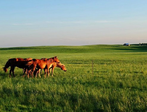 内蒙古大兴安岭旅游备受追捧