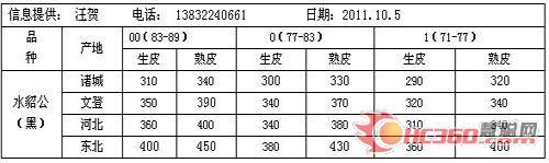 2011年10月11日尚村皮毛价格情况综述