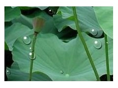 转让砂浆王技术/有机硅防水涂料配方/霍尼漏克作用