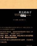 经典原作 Bambook推荐《黄石的孩子》