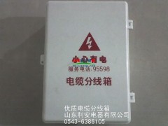 供应电缆分线箱 电缆接线箱 电力端子箱 分线端子箱