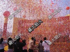 厂家直销冷焰火礼宾花 厂家直销冷焰火礼宾花