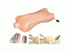 中心静脉穿刺模型,中心静脉穿刺注射躯干模型,医技训练模型