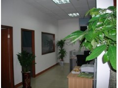 香港到西安货代,香港进口货代公司 香港到西安货代,香港进口货代公司