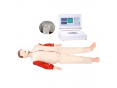 2010版心肺复苏训练模拟人,执行2010最新CPR国际标准