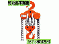 10吨15吨手拉葫芦高品质手拉葫芦厂家20吨30吨倒链