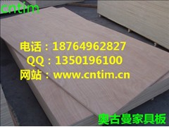 天财各种包装规格胶合板18764962827