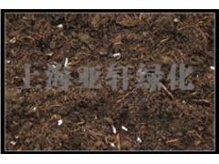 屋顶花园轻质土 屋顶花园专用泥炭 屋顶花园轻质土 屋顶花园专用泥炭