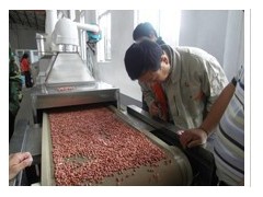 微波坚果烘焙烘烤设备,微波槟榔烘烤机,微波腰果烘烤机 微波坚果烘焙烘烤设备,微波槟榔烘烤机,微波腰果烘烤机