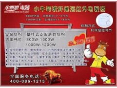 诚招碳纤维节能电暖器代理加盟,电暖器代理,电暖器