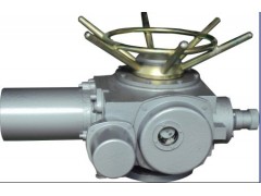 阀门电动装置DZW（电动头DZW，电动执行器DZW）