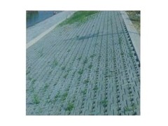 空心砖,实心砖,护坡砖,植草砖,揭阳鼎立砖厂,揭阳砖厂