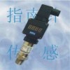 带显示压力变送器