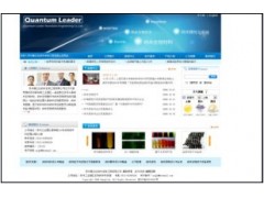 企业公司网站建设