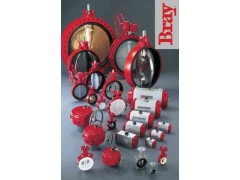 美国博雷BRAY执行器
