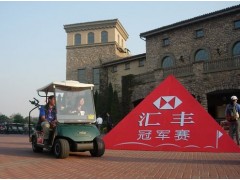 两人座高尔夫球车 两人座高尔夫球车