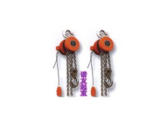 DHT型环链电动葫芦