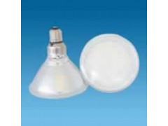 朗森照明LED节能灯，无极灯