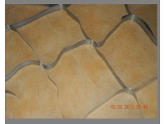 土工格室行业领跑者