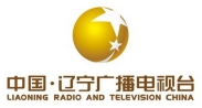 辽宁影视广告传媒