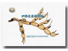 供应莲藕种——鄂莲六号