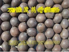 供应太空莲种36号