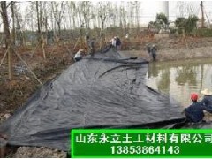 供应环保环卫土工布土工膜 供应环保环卫土工布土工膜