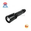 防爆电筒  BLD211防爆电筒