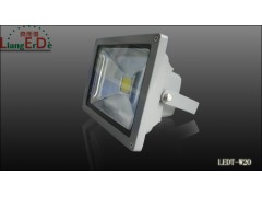 LED景观灯 温州亮而得 LEDT-W20