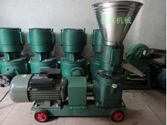 山东鱼饲料颗粒机 鸡鸭饲料颗粒机 泥鳅饲料颗粒机 山东鱼饲料颗粒机 鸡鸭饲料颗粒机 泥鳅饲料颗粒机